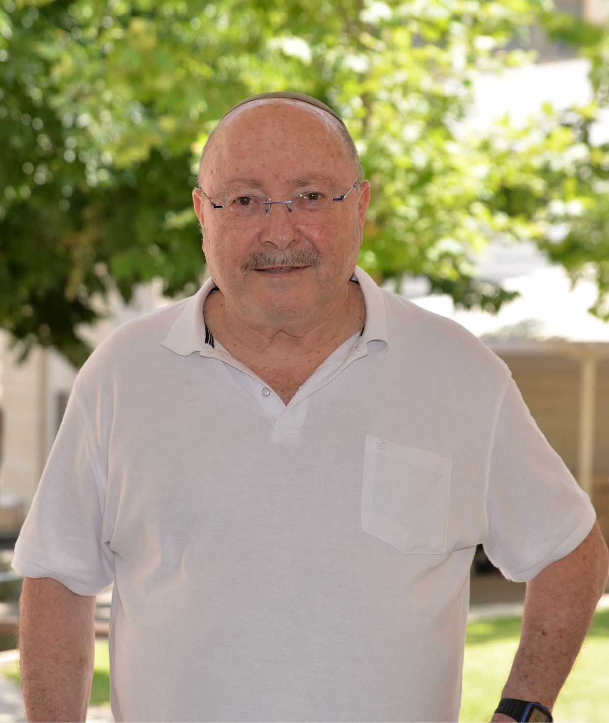 Prof. Amnon Hoffman